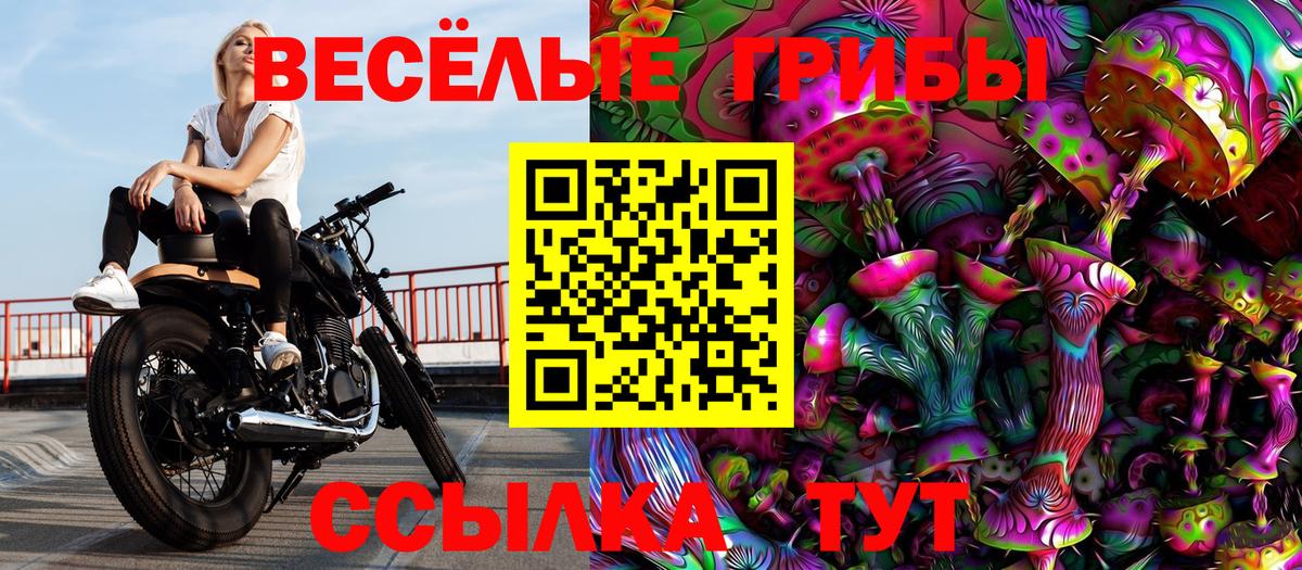 Новоалександровск  что такое   Вход с VPN  Галлюциногенные грибы GOLDEN TEACHER  Галлюциногенные грибы Cubensis 