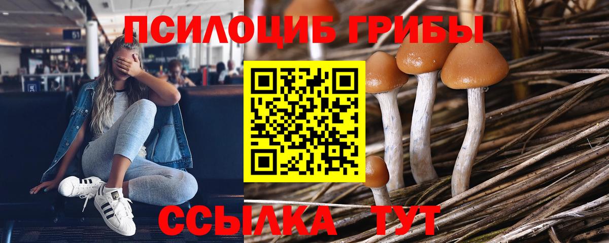Псилоцибиновые грибы MAGIC MUSHROOMS Новоалександровск